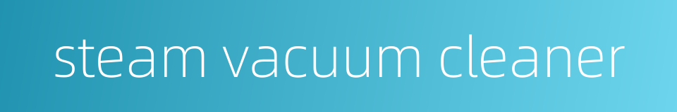 steam vacuum cleaner的同义词