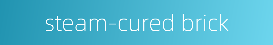 steam-cured brick的同义词