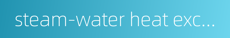 steam-water heat exchanger的同义词