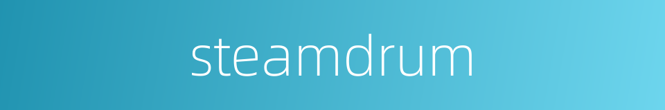 steamdrum的同义词