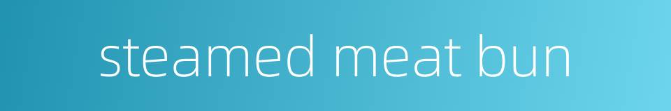 steamed meat bun的同义词