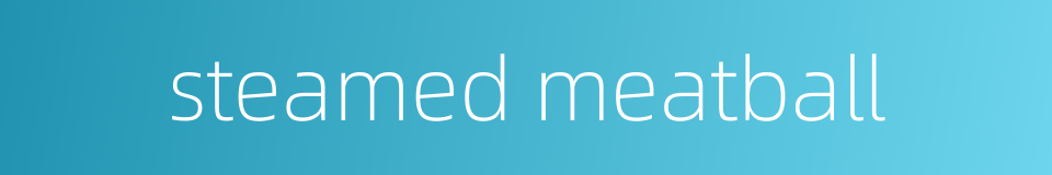 steamed meatball的同义词