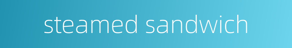 steamed sandwich的同义词