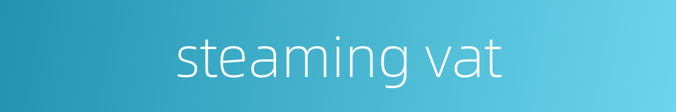 steaming vat的同义词
