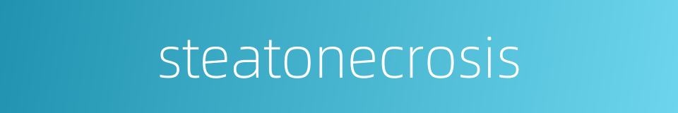 steatonecrosis的同义词