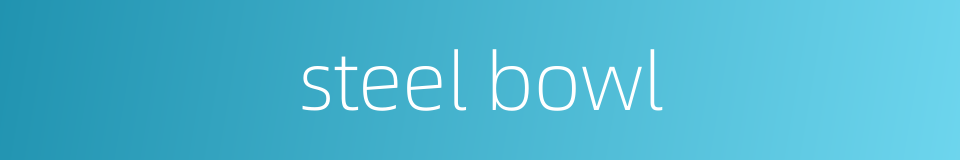 steel bowl的同义词
