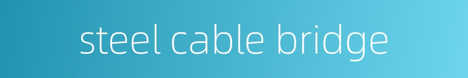 steel cable bridge的同义词