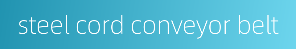 steel cord conveyor belt的同义词
