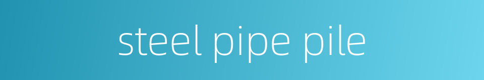 steel pipe pile的同义词