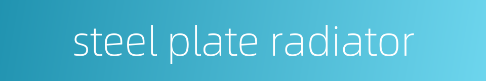 steel plate radiator的同义词