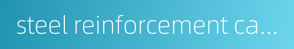 steel reinforcement cage的同义词