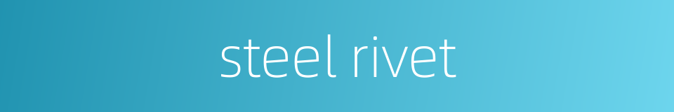 steel rivet的同义词