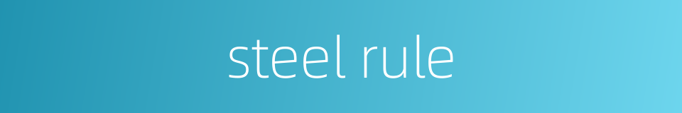 steel rule的同义词