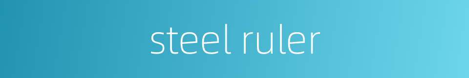 steel ruler的同义词