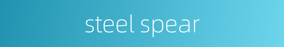 steel spear的同义词