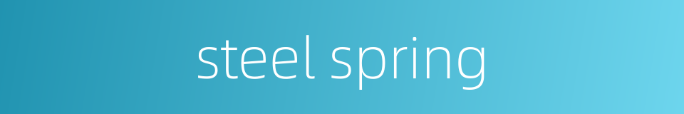 steel spring的同义词