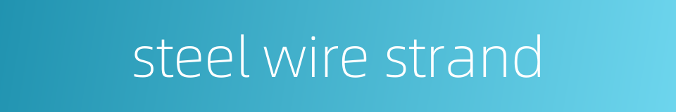 steel wire strand的同义词