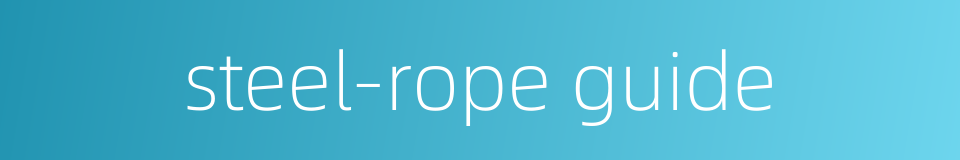 steel-rope guide的同义词