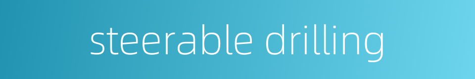 steerable drilling的同义词