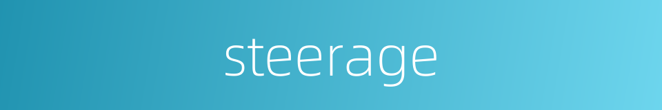 steerage的同义词