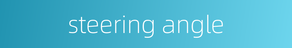 steering angle的同义词