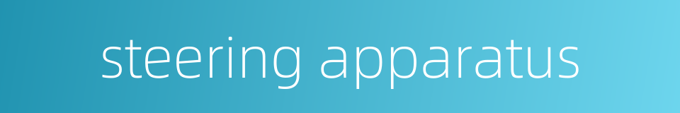 steering apparatus的同义词