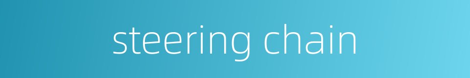 steering chain的同义词