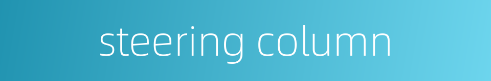 steering column的同义词