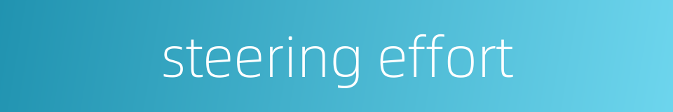 steering effort的同义词