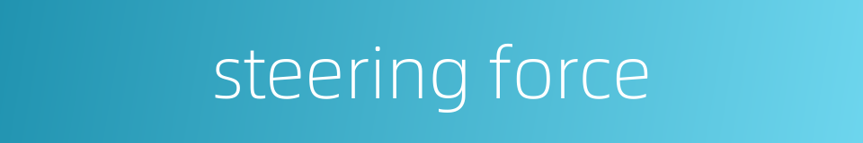 steering force的同义词
