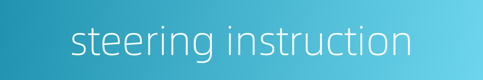 steering instruction的同义词