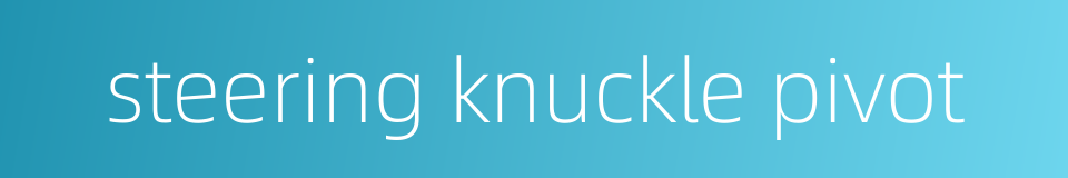 steering knuckle pivot的同义词
