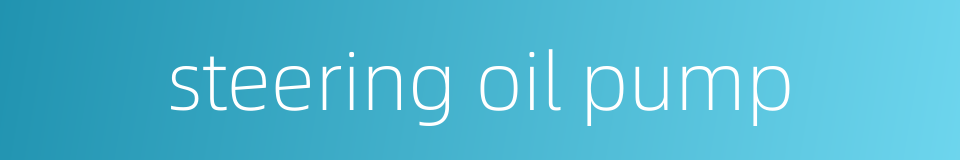 steering oil pump的同义词