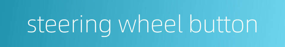 steering wheel button的同义词
