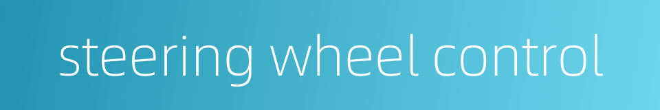 steering wheel control的同义词