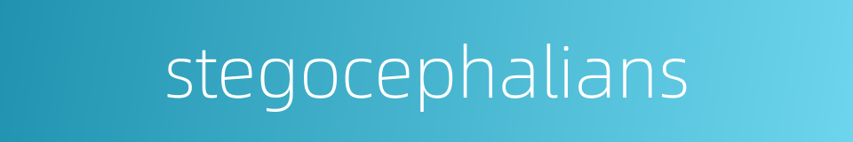 stegocephalians的同义词