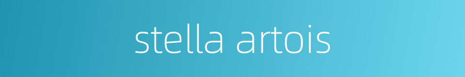 stella artois的同义词