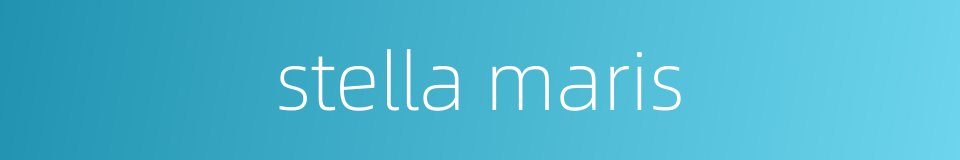 stella maris的同义词