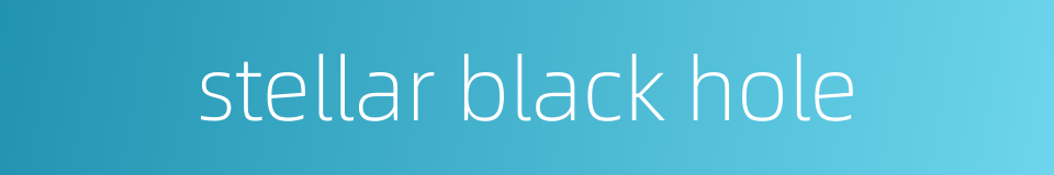 stellar black hole的同义词