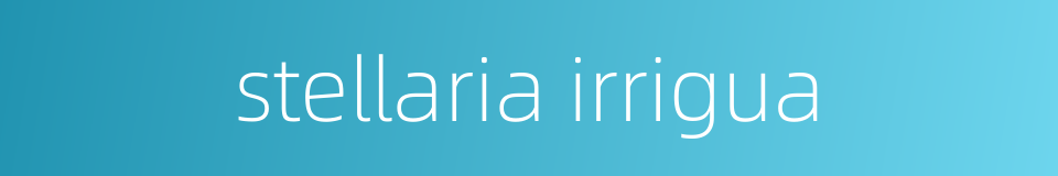 stellaria irrigua的同义词