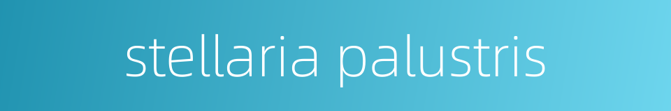 stellaria palustris的同义词