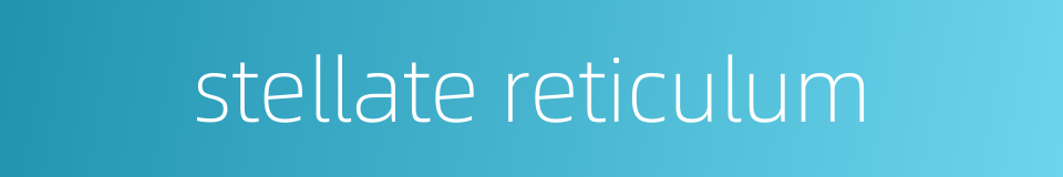 stellate reticulum的同义词