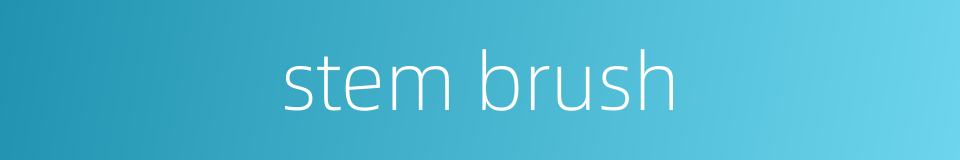 stem brush的同义词