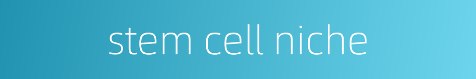 stem cell niche的同义词