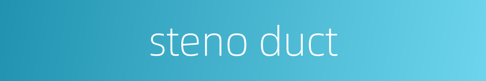 steno duct的同义词