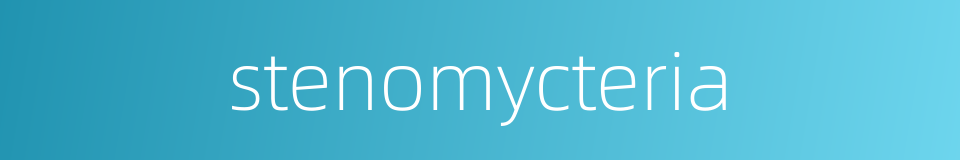 stenomycteria的同义词