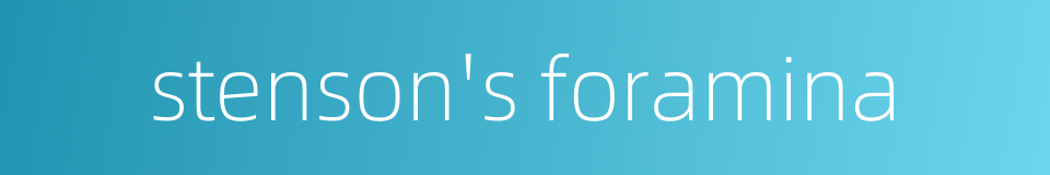 stenson's foramina的同义词