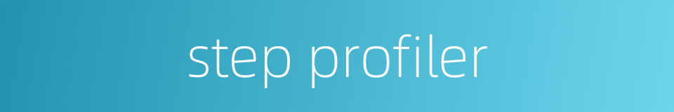 step profiler的同义词