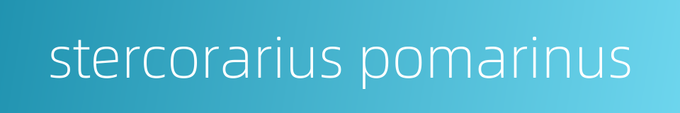 stercorarius pomarinus的同义词