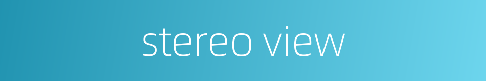 stereo view的同义词